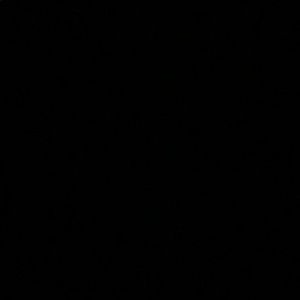 Meet your Posher, Callie